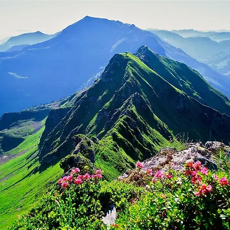 Lejlighed Haus Sandra Alpbach