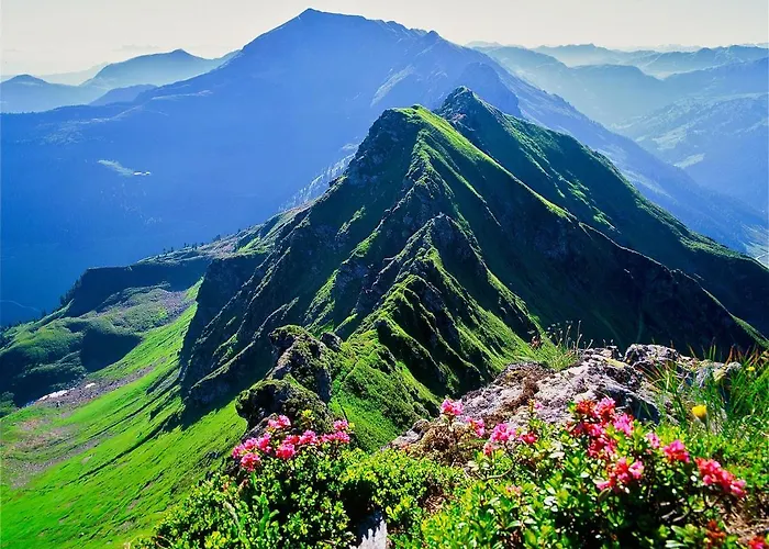 Apartment Haus Sandra Alpbach